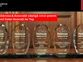 Țuca Zbârcea